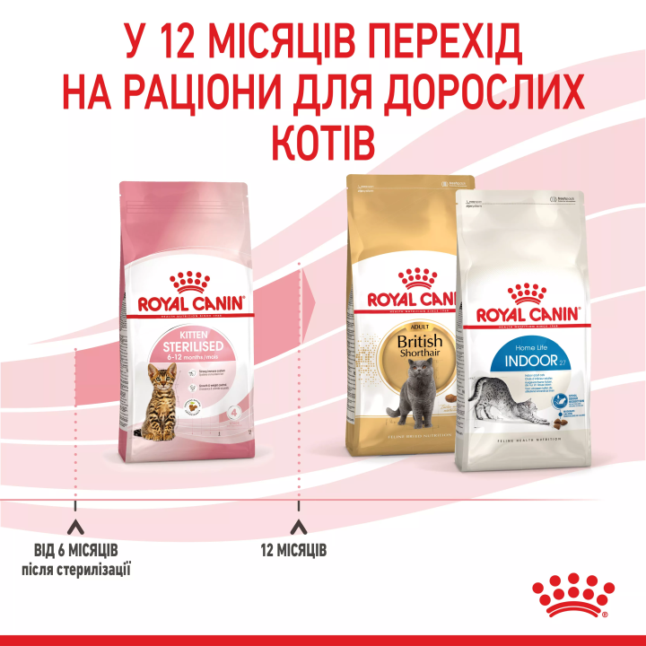Замовити Kitten Sterised 2 кг Royal Canin | Знижка до 23% | Відправка з Києва по Україні