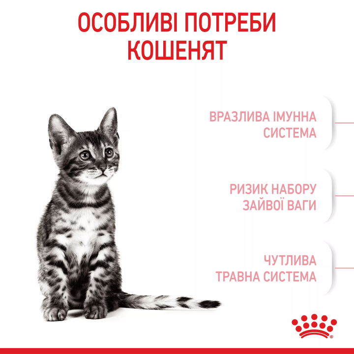 Замовити Kitten Sterised 2 кг Royal Canin | Знижка до 23% | Відправка з Києва по Україні