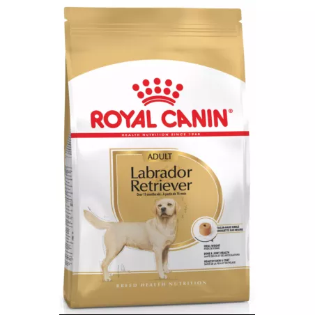 Замовити Labrador Retriever Adult 12 кг Royal Canin | Знижка до 23% | Відправка з Києва по Україні