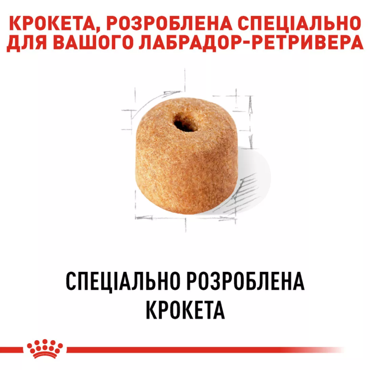 Замовити Labrador Retriever Adult 12 кг Royal Canin | Знижка до 23% | Відправка з Києва по Україні