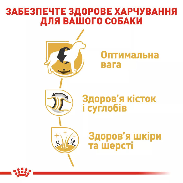 Замовити Labrador Retriever Adult 12 кг Royal Canin | Знижка до 23% | Відправка з Києва по Україні