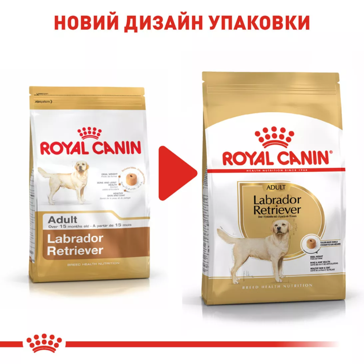 Замовити Labrador Retriever Adult 12 кг Royal Canin | Знижка до 23% | Відправка з Києва по Україні