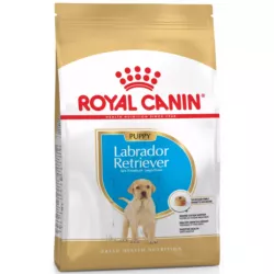 Замовити Labrador Retriever Puppy 3 кг Royal Canin | Знижка до 23% | Відправка з Києва по Україні