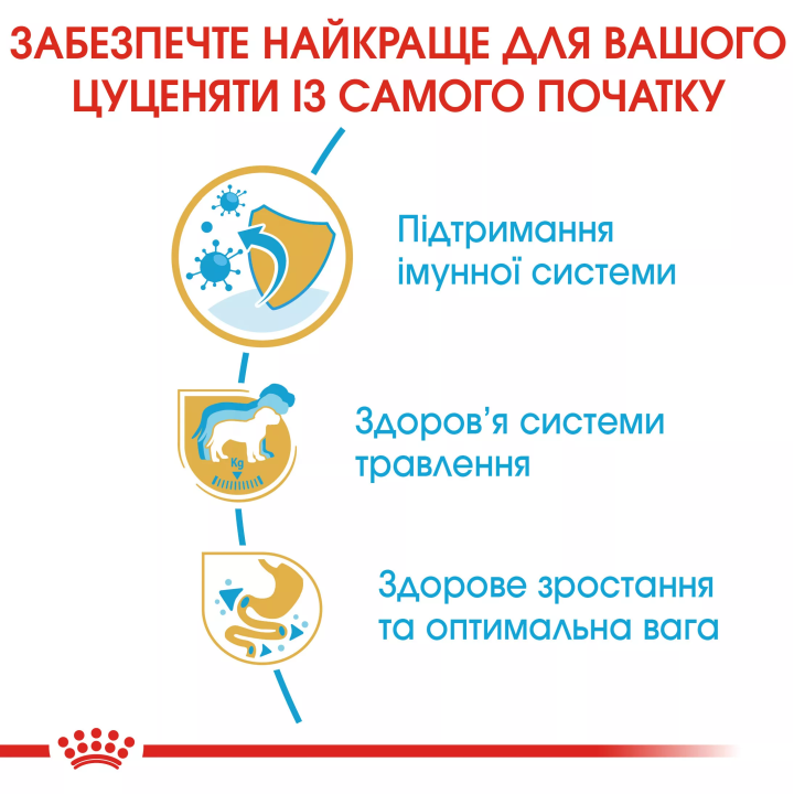 Замовити Labrador Retriever Puppy 12 кг Royal Canin | Знижка до 23% | Відправка з Києва по Україні