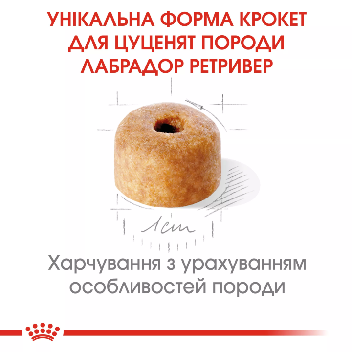 Замовити Labrador Retriever Puppy 12 кг Royal Canin | Знижка до 23% | Відправка з Києва по Україні
