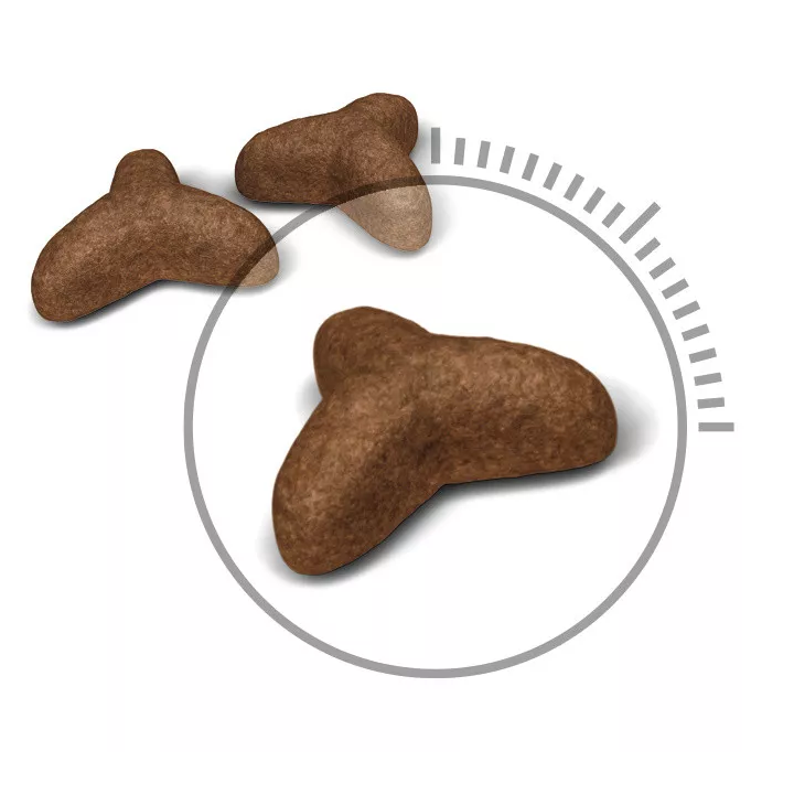 Замовити Light Weight Care 0.4 кг Royal Canin | Знижка до 23% | Відправка з Києва по Україні