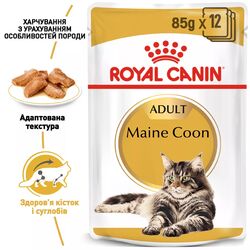Royal Canin Maine Coon - вологий корм для котів породи Мейн-кун