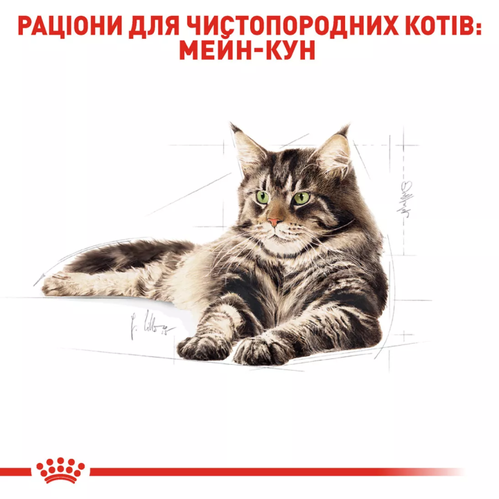 Замовити Maine Coon Adult 0.085 кг Royal Canin | Знижка до 23% | Відправка з Києва по Україні