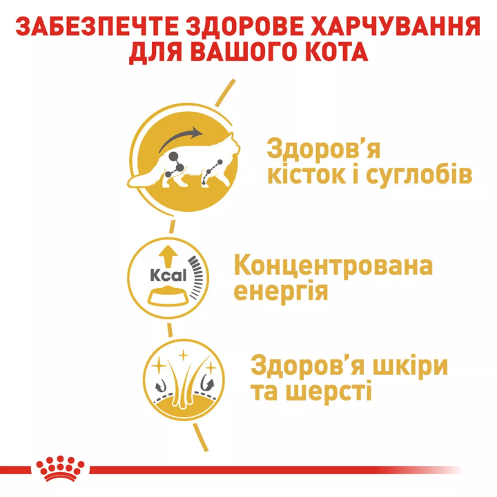Замовити Maine Coon Adult 0.085 кг Royal Canin | Знижка до 23% | Відправка з Києва по Україні