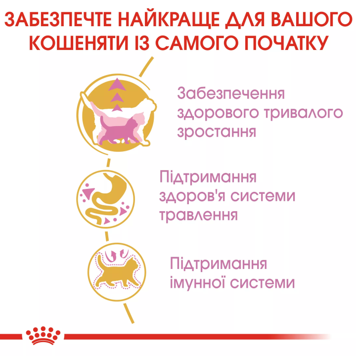 Замовити Mainecoon Kitten 2 кг Royal Canin | Знижка до 23% | Відправка з Києва по Україні