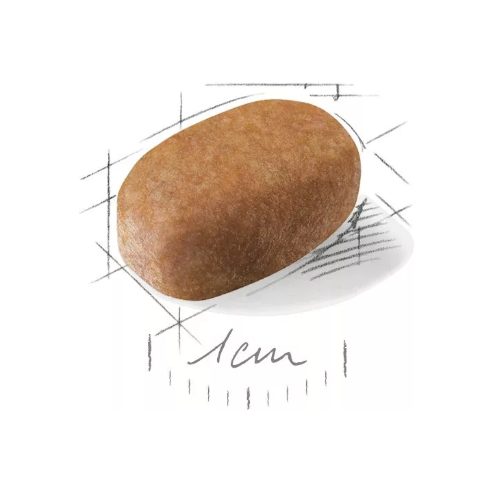 Замовити Maltese Adult 0.5 кг Royal Canin | Знижка до 23% | Відправка з Києва по Україні