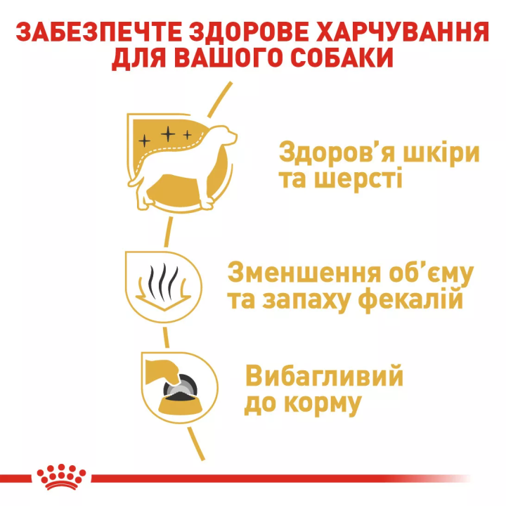 Замовити Maltese Adult 0.5 кг Royal Canin | Знижка до 23% | Відправка з Києва по Україні