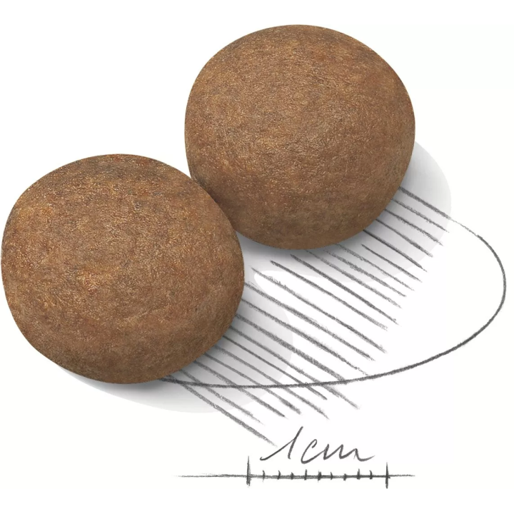 Замовити Maxi Adult 15 кг Royal Canin | Знижка до 23% | Відправка з Києва по Україні