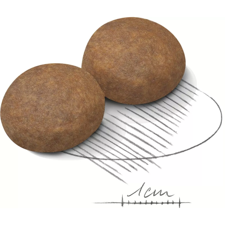 Замовити Maxi Adult 5+ (15 кг) Royal Canin | Знижка до 23% | Відправка з Києва по Україні