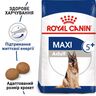 Збалансований сухий корм для старших собак великих порід - Royal Canin Maxi Adult 5+