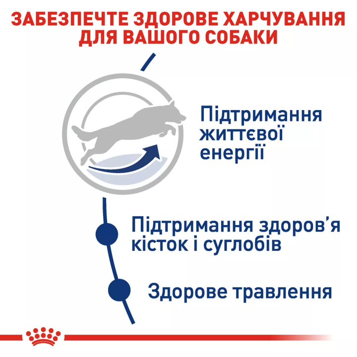 Замовити Maxi Adult 5+ (15 кг) Royal Canin | Знижка до 23% | Відправка з Києва по Україні