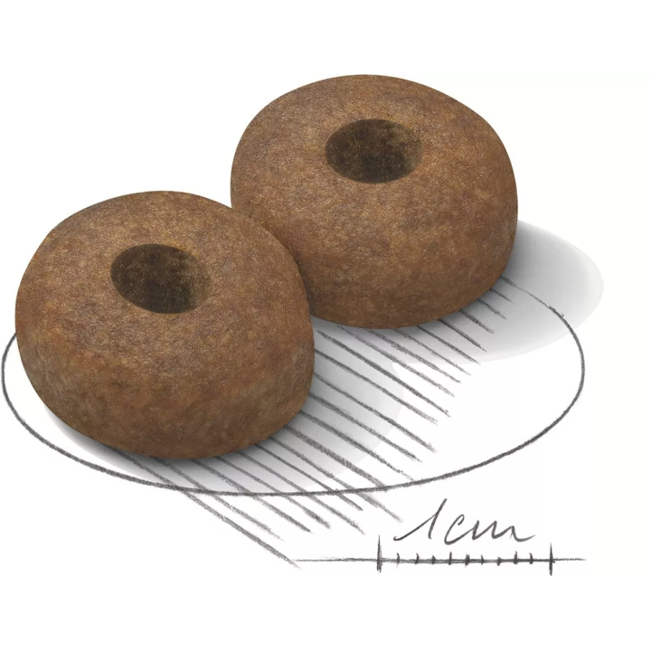 Замовити Maxi Ageing 8+ (15 кг) Royal Canin | Знижка до 23% | Відправка з Києва по Україні