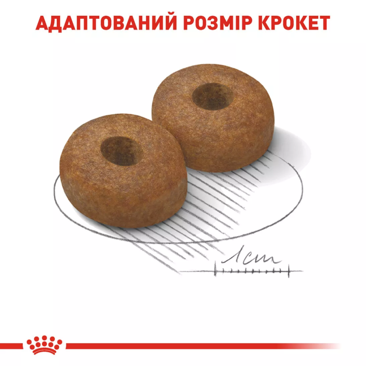 Замовити Maxi Ageing 8+ (15 кг) Royal Canin | Знижка до 23% | Відправка з Києва по Україні