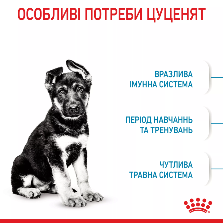 Замовити Maxi Puppy 1 кг Royal Canin | Знижка до 23% | Відправка з Києва по Україні