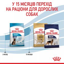 Maxi Puppy 4 кг | Royal Canin | Сухий Корм Для Цуценят Собак Великих Порід