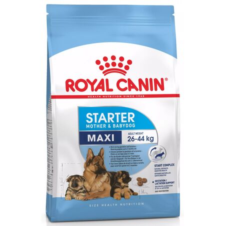 Maxi Starter 4 кг | Royal Canin | Сухий Корм Для Собак