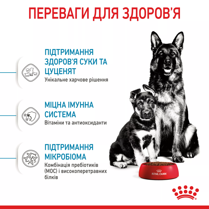 Замовити Maxi Starter 4 кг Royal Canin | Знижка до 23% | Відправка з Києва по Україні