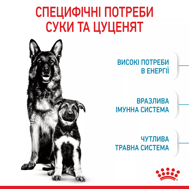 Замовити Maxi Starter 4 кг Royal Canin | Знижка до 23% | Відправка з Києва по Україні