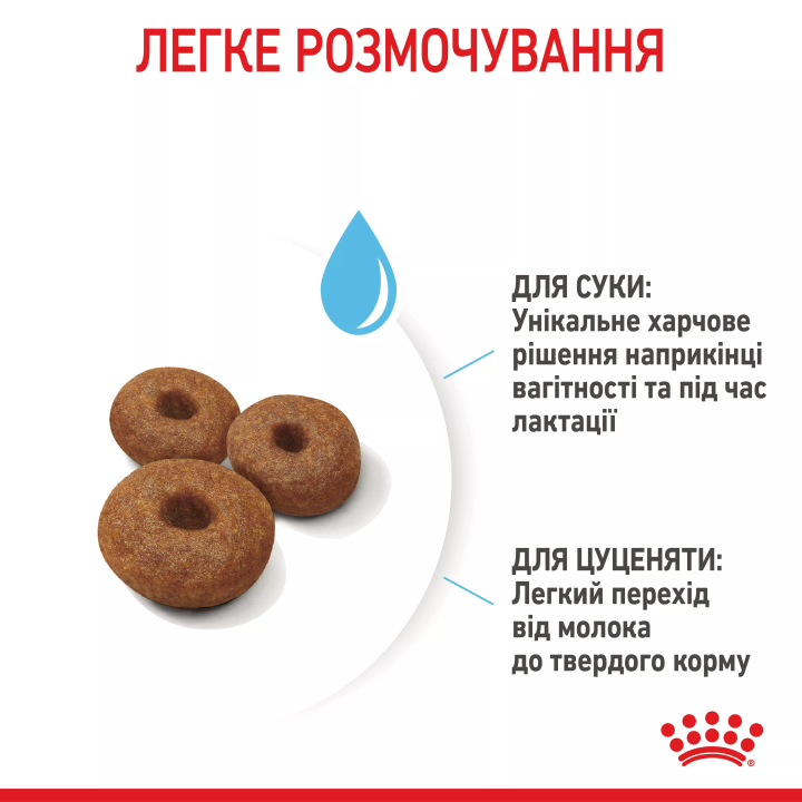 Замовити Maxi Starter 4 кг Royal Canin | Знижка до 23% | Відправка з Києва по Україні