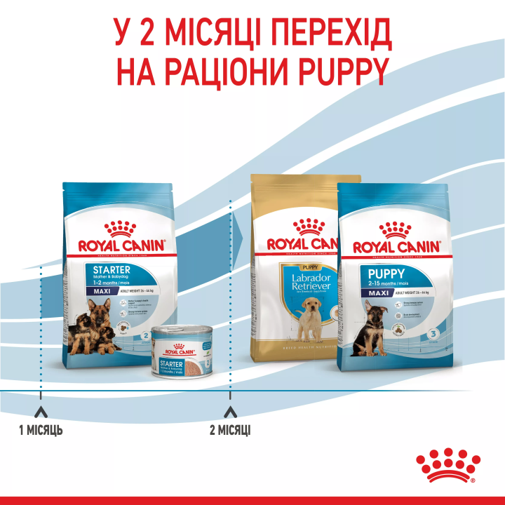 Замовити Maxi Starter 4 кг Royal Canin | Знижка до 23% | Відправка з Києва по Україні