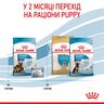 Maxi Starter 4 кг | Royal Canin | Сухий Корм Для Собак