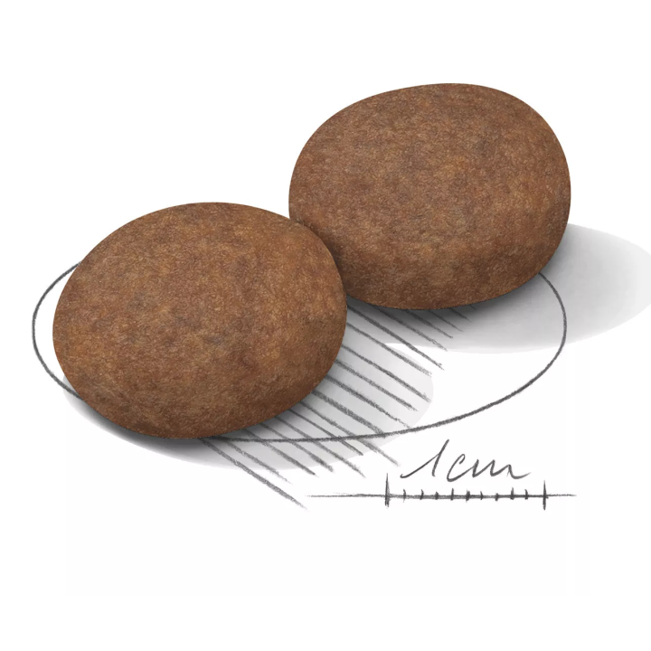 Замовити Medium Adult 7+ (4 кг) Royal Canin | Знижка до 23% | Відправка з Києва по Україні