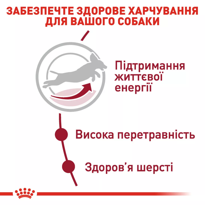 Замовити Medium Adult 7+ (4 кг) Royal Canin | Знижка до 23% | Відправка з Києва по Україні