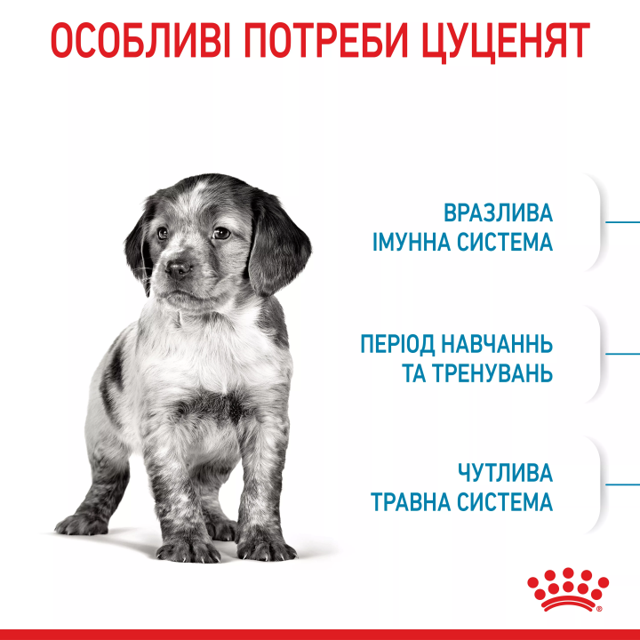 Замовити Medium Puppy 1 кг Royal Canin | Знижка до 23% | Відправка з Києва по Україні