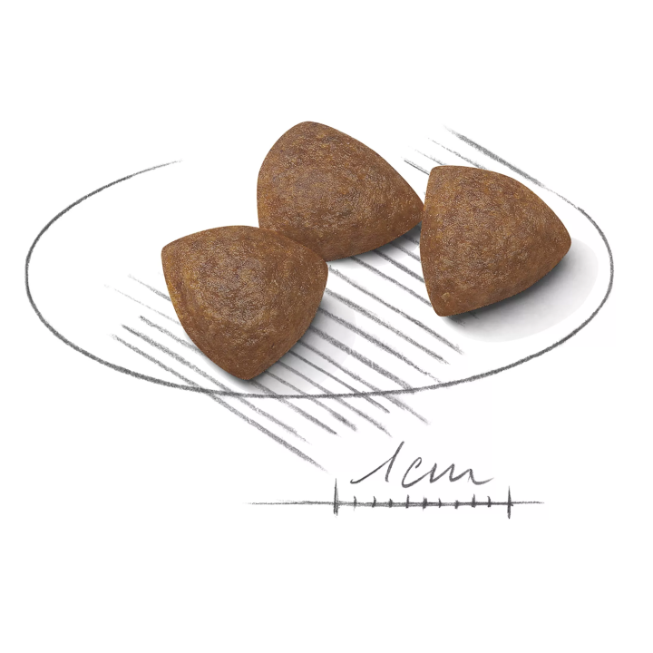 Замовити Medium Starter 1 кг Royal Canin | Знижка до 23% | Відправка з Києва по Україні