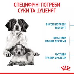 Medium Starter 1 кг | Royal Canin | Сухий Корм Для Собак