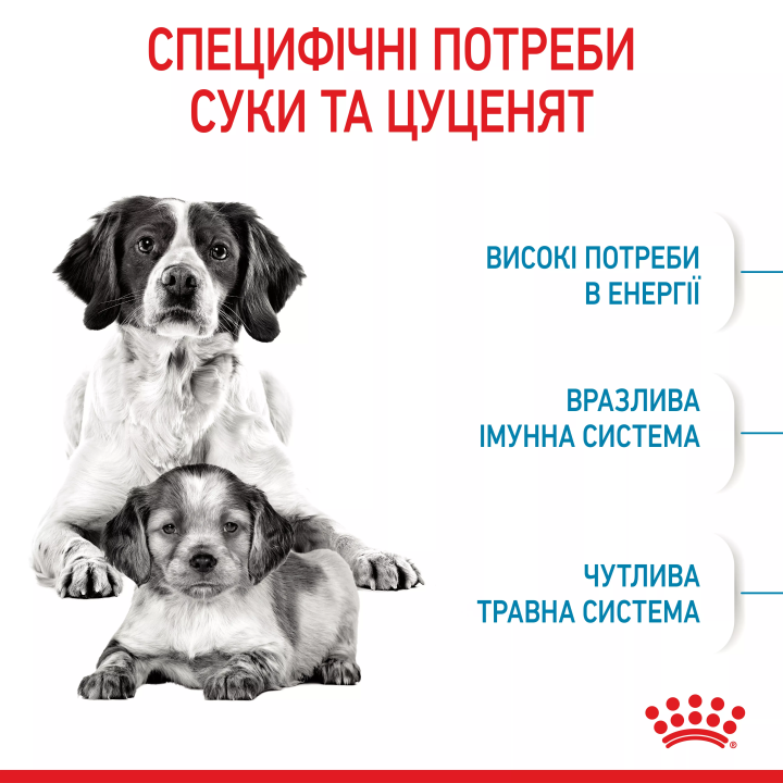 Замовити Medium Starter 1 кг Royal Canin | Знижка до 23% | Відправка з Києва по Україні