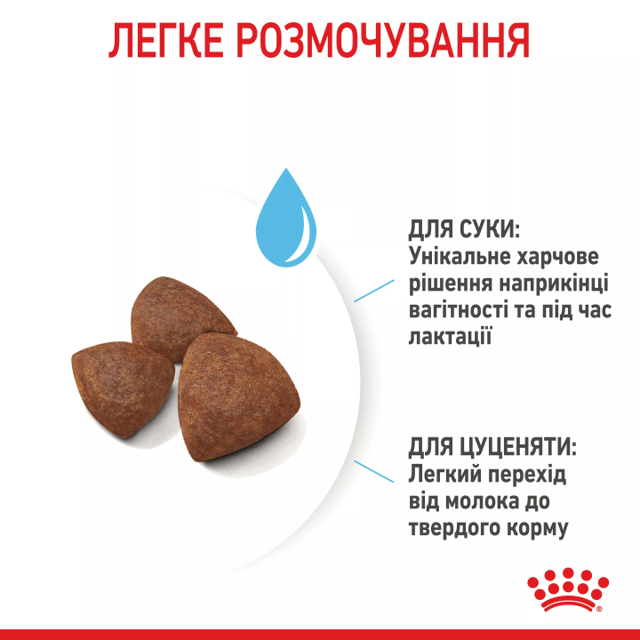 Замовити Medium Starter 1 кг Royal Canin | Знижка до 23% | Відправка з Києва по Україні