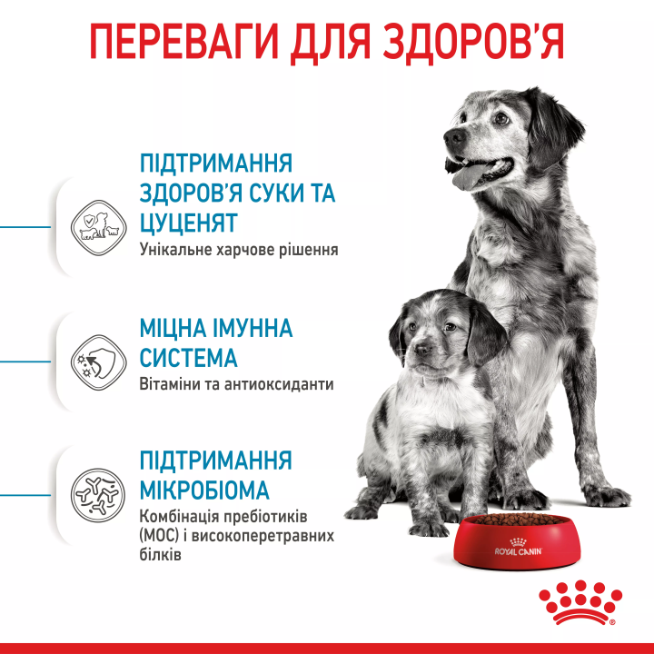Замовити Medium Starter 1 кг Royal Canin | Знижка до 23% | Відправка з Києва по Україні
