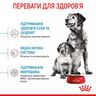 Medium Starter 1 кг | Royal Canin | Сухий Корм Для Собак