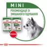 Mini Adult 0.085 кг | Royal Canin | Консервований Корм Для Собак Малих Порід Пауч