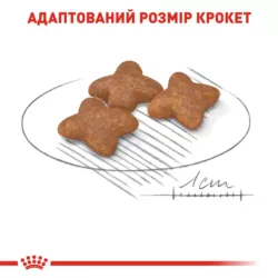 Замовити Mini Adult 0.8 кг Royal Canin | Знижка до 23% | Відправка з Києва по Україні