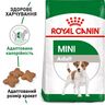 Mini Adult 8 кг | Royal Canin | Сухий Корм Для Собак Малих Порід