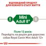 Замовити Mini Adult 8+ (0.8 кг) Royal Canin | Знижка до 23% | Відправка з Києва по Україні