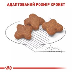 Замовити Mini Adult 8+ (0.8 кг) Royal Canin | Знижка до 23% | Відправка з Києва по Україні