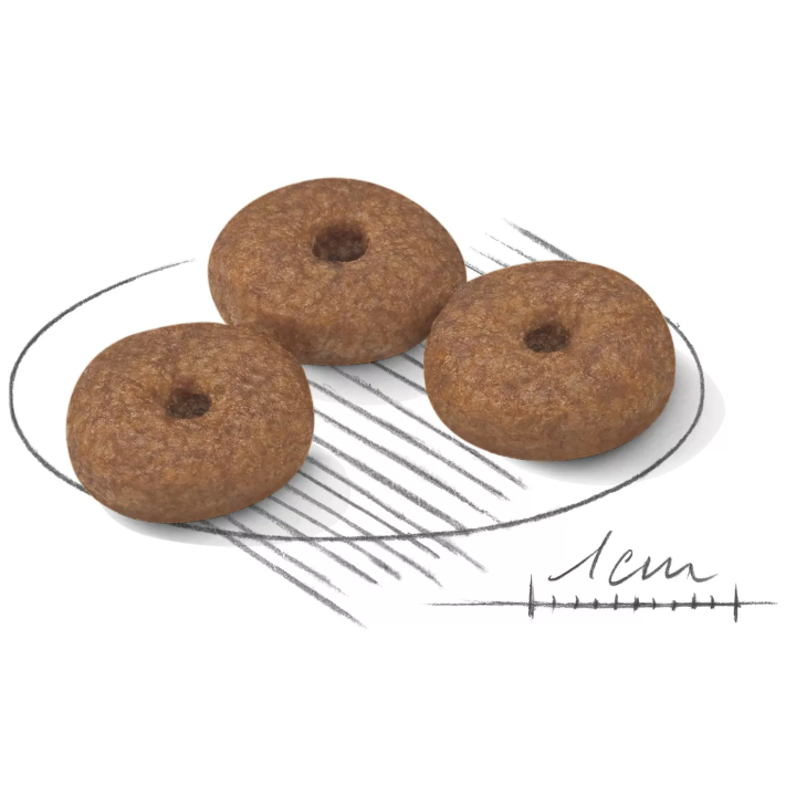 Замовити Mini Ageing 12+ (0.8 кг) Royal Canin | Знижка до 23% | Відправка з Києва по Україні