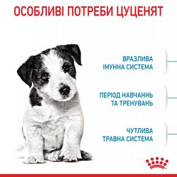 Замовити Mini Puppy 0.8 кг Royal Canin | Знижка до 23% | Відправка з Києва по Україні