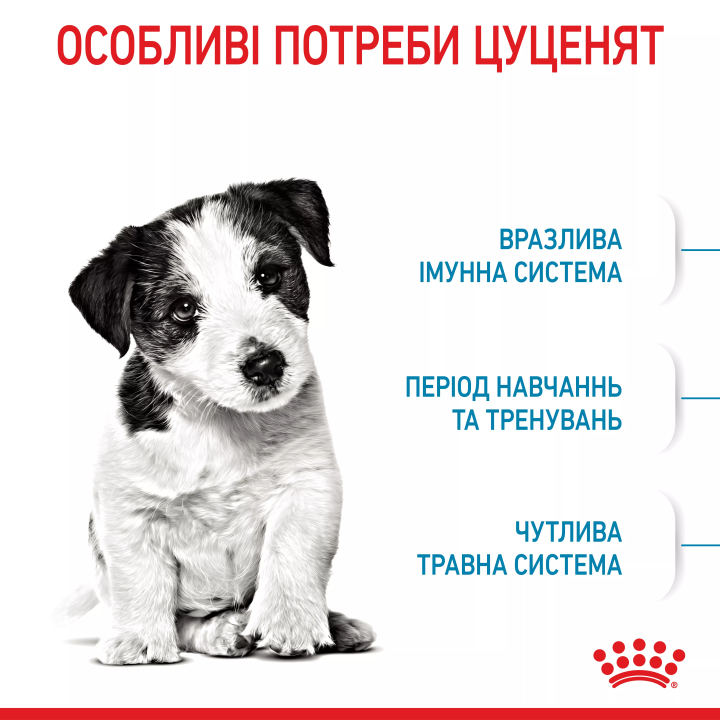 Royal Canin Mini Puppy 0.8 кг | Сухий корм для цуценят малих порід
