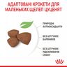 Замовити Mini Puppy 0.8 кг Royal Canin | Знижка до 23% | Відправка з Києва по Україні