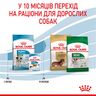 Замовити Mini Puppy 0.8 кг Royal Canin | Знижка до 23% | Відправка з Києва по Україні