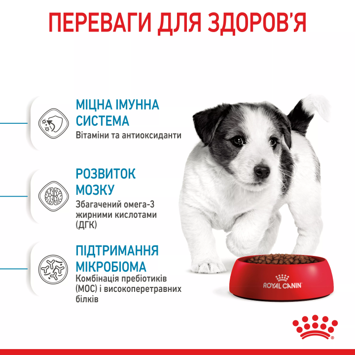 Royal Canin Mini Puppy 8 кг | Сухий корм для цуценят малих порід